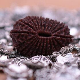 Natural 21 mukhi Rudraksha With Lab Certificate Original Shiv Beads Rudraksha By Jaipur Gemstone