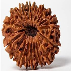 18 mukhi Rudraksha , Rudraksha , Lab Certified Rudraksha Beads For Men  Women