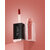 MEANT Majesty Matte Liquid Lipstick Combo- Day Dazzle  Long Lasting Liquid Lipstick up to 10 hours