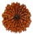 14 mukhi Natural Rudraksha Beads / Original Fourteen Mukhi Shiv Rudraksha Beads For Unisex- Jaipur Gemstone