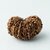 Sixteen Mukhi Rudraksha / Original  Lab Certified  16 mukhi  shiv Rudraksha Beads By jaipur Gemstone