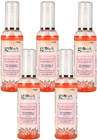 Globus Naturals Rose Toner 100 ml Set of 5
