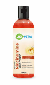 CareVeda B3 Boost  Hydrating Niacinamide Face Wash for Improving Skin Texture Hydrates  Nourishes Skin Suitable for All Skin Types 100 gm