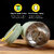 Opal Travel Tumbler Vacuum Insulated (Sage Green)