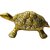 Sambhaav Handcrafted Brass Turtle Dcor for Home A Timeless Symbol of Patience (4 Inch)