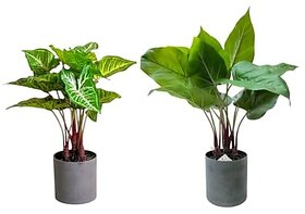 De Gardenia Artificial Philodendron Plants | Faux Greenery with Plastic Pots for Home and Office Decor | Natural Look Indoor Decoration (Pack of 2)