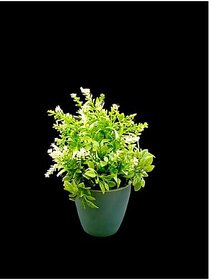 De Gardenia Mini Artificial Plants Multicolours Lifelike Fake PlantsHome and Office Decor Mini Artificial Plants Set for Home and Office Decor Lifelike Fake Plants (White 1)