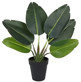 De Gardenia Artificial Banana Travellers Palm Plant with Plastic Pot for Home Decor | Natural Look | (14 /36 cm)