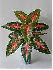 De Gardenia Artificial Caladium Plant with Black Pot | 12 Leaves with Web Pattern | 78.7 cm Tall Decorative Indoor Plant for Home and Office Decor (Red Patched Caladium Plant)