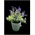 De Gardenia Mini Artificial Plants Multicolours Lifelike Fake PlantsHome and Office Decor Mini Artificial Plants Set for Home and Office Decor Lifelike Fake Plants (Blue 2)