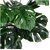 De Gardenia Artificial Money Plant- 55 cm Tall Lifelike Green Ornamental Plant for Interior Home and Office Decor Pot Not Included
