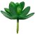 De Gardenia 4 Pc Succulent Heads Small Mini Plants Exquisite Faux Plant Add Charm to Your Home Perfect for Gifting Office Decor Farmhouse and Office Desk Withouth Pot (4 Green 1)