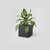 De Gardenia FOXB Cubo Cube Pots for Plants Highly Durable Lightweight Indoor/Outdoor Flower Pot Gamla Tree Planter for Balcony Garden Office (Grey 10 Inch)