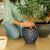 De Gardenia FOXB PCUP Pots for Plants Durable Lightweight Indoor/Outdoor Flower Pot Gamla Tree Planter for Living Room Balcony Garden Office (Grey 12 Inch)
