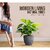 De Gardenia FOXB PCUP Pots for Plants Durable Lightweight Indoor/Outdoor Flower Pot Gamla Tree Planter for Living Room Balcony Garden Office (Grey 12 Inch)