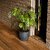 De Gardenia FOXB PCUP Pots for Plants Durable Lightweight Indoor/Outdoor Flower Pot Gamla Tree Planter for Living Room Balcony Garden Office (Grey 12 Inch)