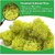 De Gardenia Preserved Reindeer Moss Natural Multicolored Moss for Crafts DIY Arts Home and Office Wall Decor  Bulk 100g to 1000g Packs (Yellow 400g)