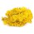 De Gardenia Preserved Reindeer Moss Natural Multicolored Moss for Crafts DIY Arts Home and Office Wall Decor  Bulk 100g to 1000g Packs (Yellow 400g)
