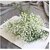 De Gardenia Artificial Baby Breath Flowers 24 Inches Fake Gypsophila Flower Bouquets for Home Decor Weddings and Events (5)