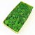 De Gardenia Preserved Reindeer Moss Natural Multicolored Moss for Crafts DIY Arts Home and Office Wall Decor  Bulk 100g to 1000g Packs (Dark Green 300g)