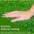 De Gardenia High Density Artificial Grass | Premium Lawn Turf | Indoor and Outdoor Use Carpet Mat | Dust and Waterproof | Skin Friendly | Artificial Grass Carpet Mat | 35/40MM (6.6X8 Sq ft 40MM)