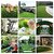 De Gardenia High Density Artificial Grass | Premium Lawn Turf | Indoor and Outdoor Use Carpet Mat | Dust and Waterproof | Skin Friendly | Artificial Grass Carpet Mat | 35/40MM (6.6X10 Sq ft 40MM)