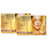 Lotus Herbals Radiant Gold Cellular Glow1 Facial Kit  With 24K Gold Leaves  For Skin Glow  37G ( Pack Of 2 )