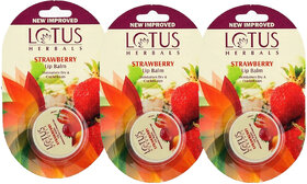 Lotus Herbals Lip Balm  Strawberry  For Dry  Cracked Lips  5G  (Pack Of 3)