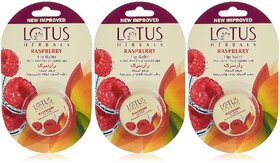 Lotus Herbals Lip Balm  Raspberry  For Dry  Cracked Lips  5G ( Pack Of 3)