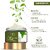 Lotus Botanicals Natural Green Tea Hydradetox Day Cream _50Gm ( Pack Of 2 ) (100 G)