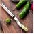 Stainless Steel Chili Corer Peppers Seed Remover Knife with Serrated Edge Barbecue Tools