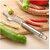 Stainless Steel Chili Corer Peppers Seed Remover Knife with Serrated Edge Barbecue Tools