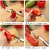 Stainless Steel Chili Corer Peppers Seed Remover Knife with Serrated Edge Barbecue Tools