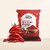 TRI SwaStik Dehydred Red Chilli Powder (50Gm pack of 2)