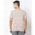Fashlook Men Multicolor Striped Cotton Blend Polo T-Shirt