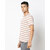 Fashlook Men Multicolor Striped Cotton Blend Polo T-Shirt