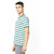 Fashlook Men Multicolor Striped Cotton Blend Polo T-Shirt