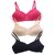 MINHA  Women's Cotton-Padded Wirefree  Everyday Bra  Pack of 3 ( random colour )