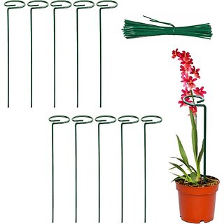 46 cm Iron Garden Stake (Pack of 2) - Durable Plant Support and Landscape Stabilizer for Flowers, Vegetables,