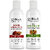 Globus Naturals Body Lotion Combo Set of 2 Kesar Chandan  Mix Fruit Body Lotion For NonGreasy Lightweight Body Moisturizer for Women  Men  All Skin Types