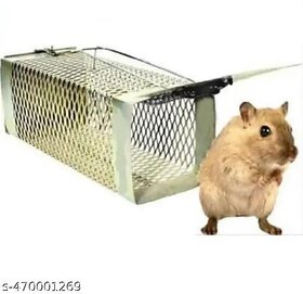 Metal Rat Trap Cage Mouse Pinjra Pack of 1 pic