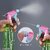 Garden Sprayer in Home & KitchenPlastic Trigger Spray COMBO Pack Of 05 PCS | Spray Gun