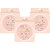 Lotus Herbals Whiteglow Flawless Complexion Compact  Honey C2 Matte Look Spf 25 Anti Pollution 10G  (Pack Of 3)
