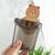 Toothbrush Holder Plastic Stand for Toothpaste, Comb, Brush, Drain Waterproof Self-Adhesive, Teddy Bear