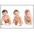 Smart Books Publishers Baby Poster - 13x19 Inch | Ultra-Durable 300 GSM Glossy Print | Perfect Wall Dcor for Pregnant Women & Baby Rooms | Water-Resistant & Laminated | Cute Baby Photo Art