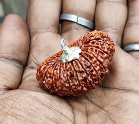 21 mukhi rudraksha silver plated pendant with metal chain  with lab certificate