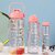 3-in-1 Motivational Water Bottle Combo Set (2000ML, 1000ML, 500ML)  Leakproof BPA-Free Bottles with Time Marker, Straw