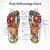 Kinoki Cleansing Detox Foot Patches 10 Adhesive Pads Kit Natural Unwanted Toxins - Foot Protector (Regular)