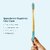 DENCRUS Orby Plus Bamboo Toothbrush For Adults (Blue, Pink), Natural Soft Bristles, Eco-Friendly Toothbrush
