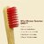 DENCRUS Orby Plus Bamboo Toothbrush For Adults (Red, Pink, Blue, Lavender), Natural Soft Bristles